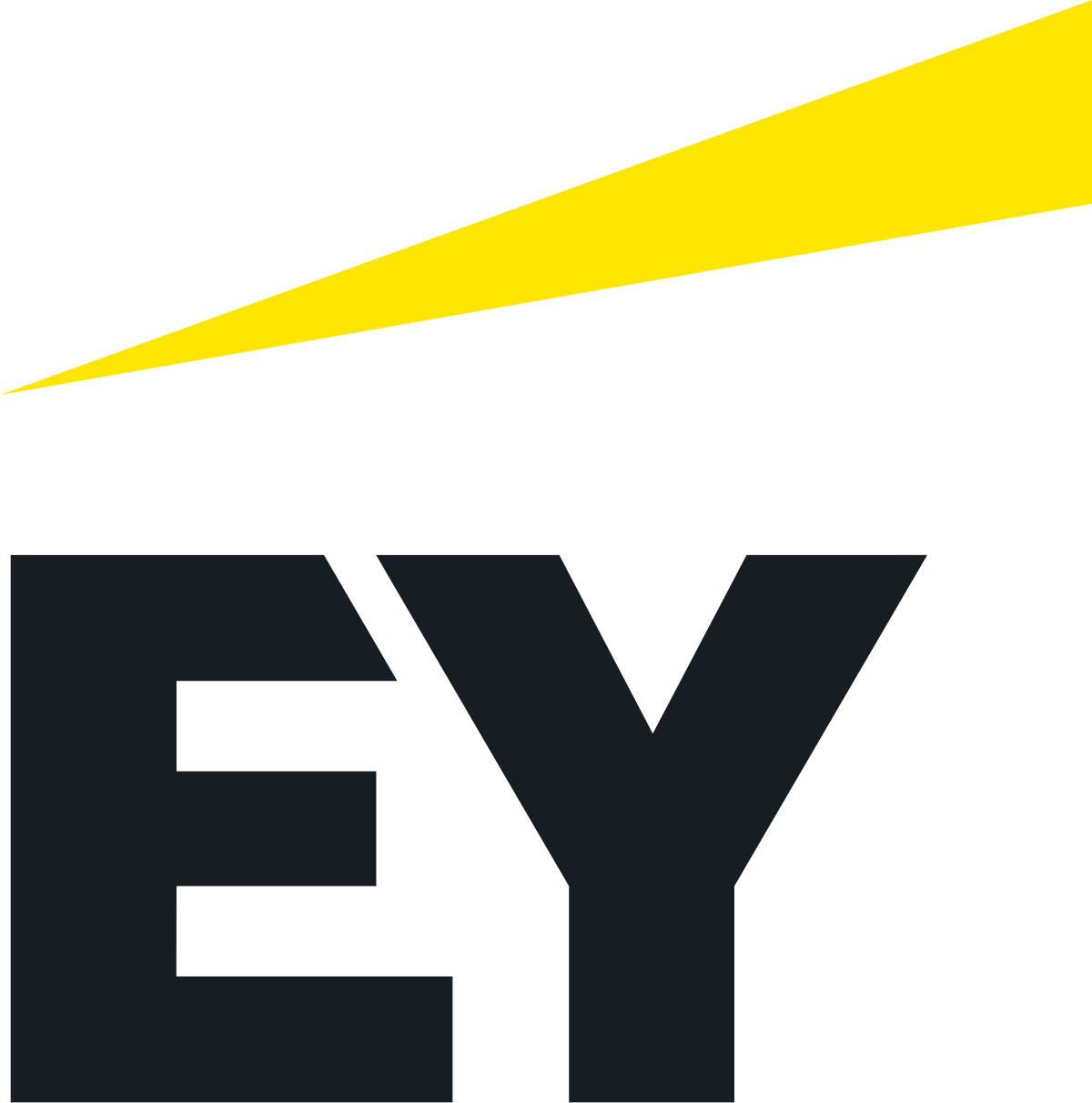 Company 6